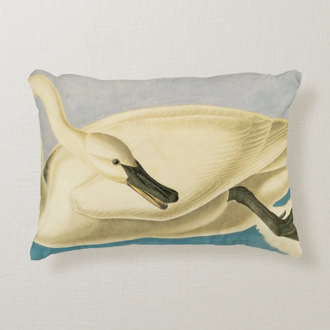 Cojín Decorativo Cisne trompetero por John James Audubon, ave vinta (Anverso)