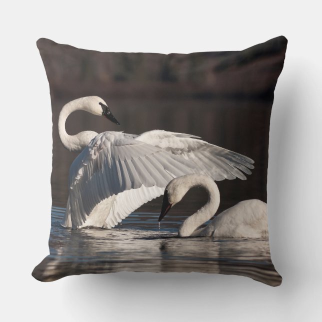 Cojín Decorativo Cisnes amorosos (Anverso)