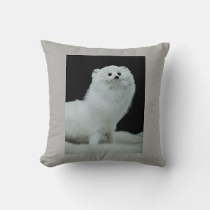 Cojín Decorativo Cita comercial de ferret Taxidermy Mount y Anti-Fu