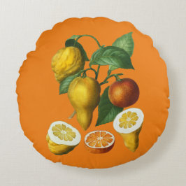 Cojín decorativo CITRUS FRUIT