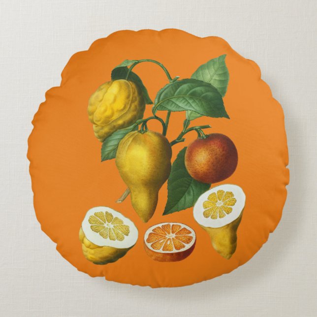 Cojín decorativo CITRUS FRUIT (Anverso)