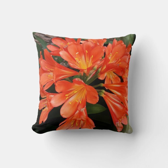 Cojín Decorativo Clivia Miniata - La Naranja hermosa Flor (Anverso)