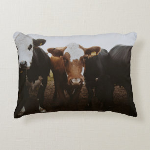 COJÍN DECORATIVO COBERTURA DE VACAS