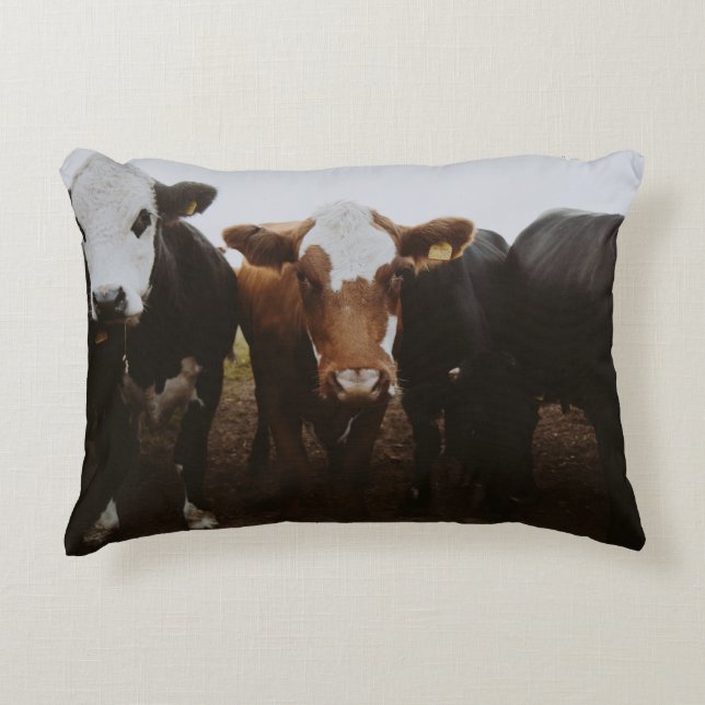 COJÍN DECORATIVO COBERTURA DE VACAS (Anverso)