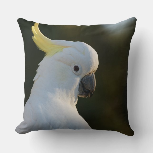 Cojín Decorativo Cockatoo blanco exótico (Anverso)