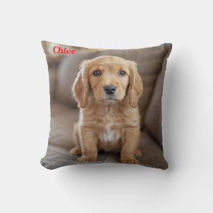 Cojín Decorativo Cocker Spaniel juguetón