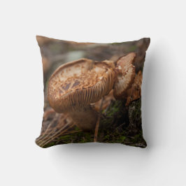 Cojín Decorativo Cojín, fotografía de setas