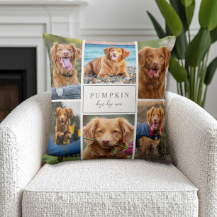 Cojín Decorativo Colaje de fotos simple de perro mascota