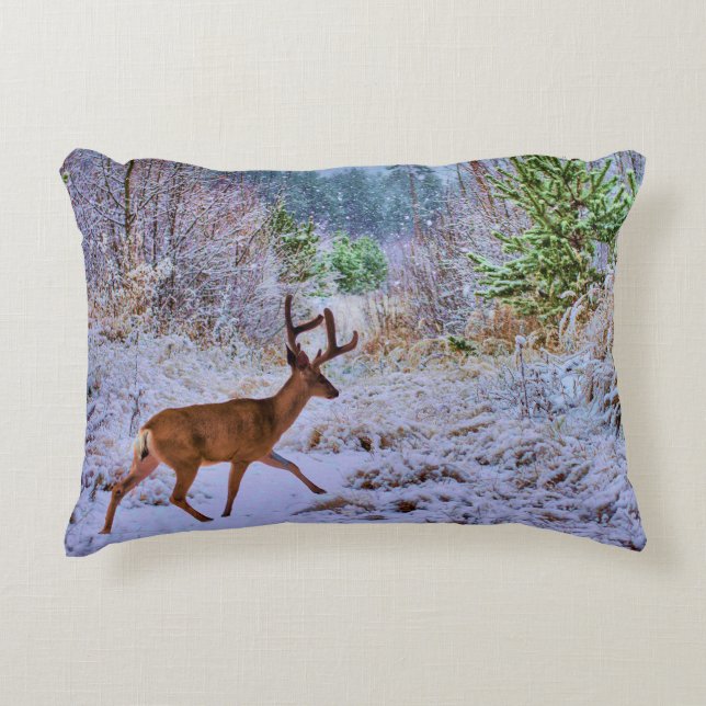 Cojín Decorativo Colchón de acento (Anverso)