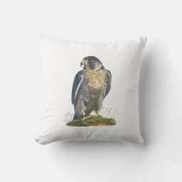 Cojín Decorativo Colchón de Halcón Peregrino llamativo