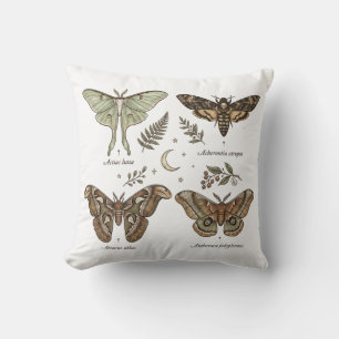 Cojín Decorativo Colección de Mariposas Nocturnas Entomología Vinta