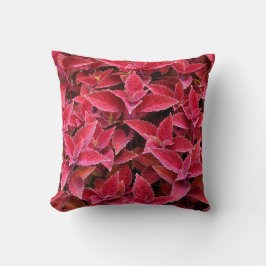 Cojín Decorativo Coleus Rojo Reversible Sale Pillow
