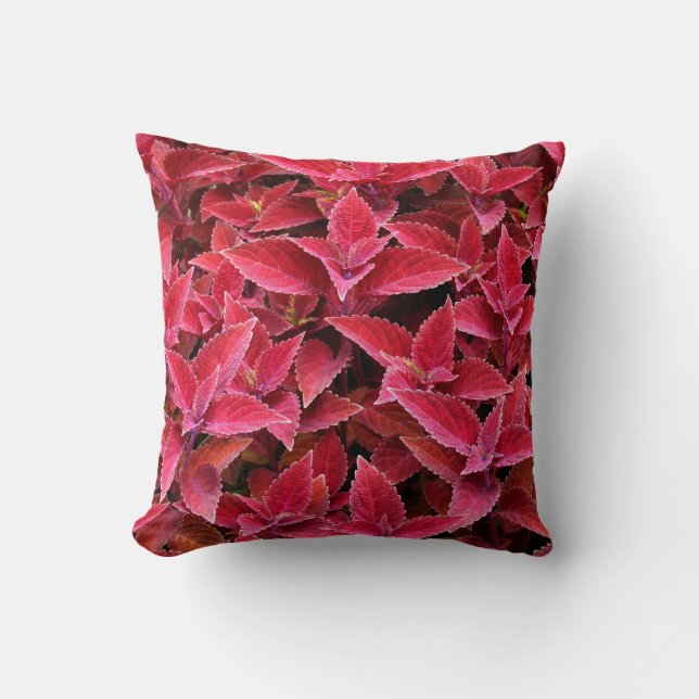 Cojín Decorativo Coleus Rojo Reversible Sale Pillow (Anverso)
