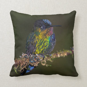 Cojín Decorativo Colibrí