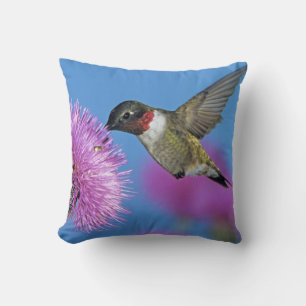 Cojín Decorativo Colibrí de garganta rubí
