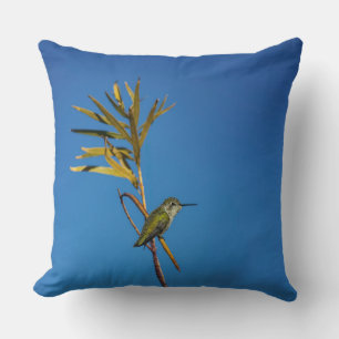 Cojín Decorativo Colibrí hembra
