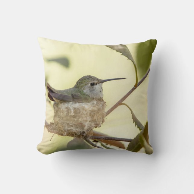 Cojín Decorativo Colibrí hembra en su nido (Anverso)