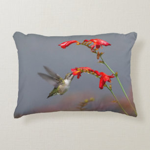Cojín Decorativo Colibrí Y Crocosmia
