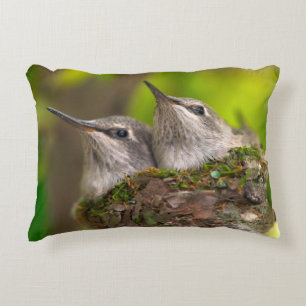 Cojín Decorativo Colibríes bebés