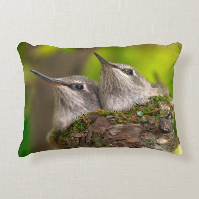 Cojín Decorativo Colibríes bebés (Anverso)