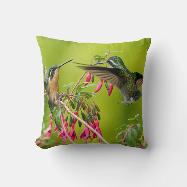 Cojín Decorativo Colibríes Fondo Verde (Anverso)