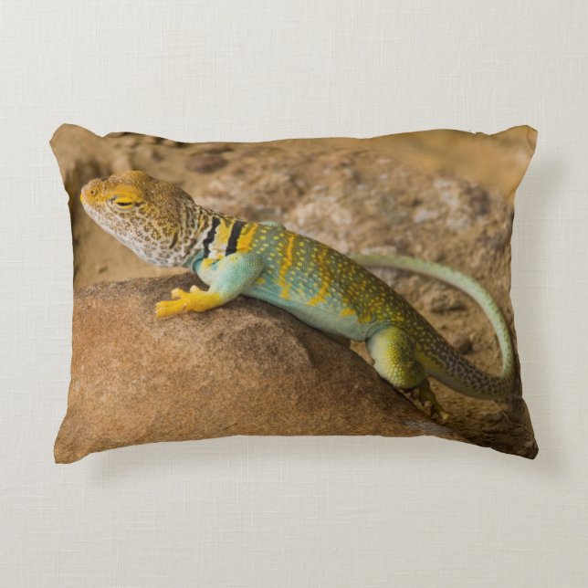 Cojín Decorativo Collared Lizard (Anverso)