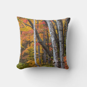 Cojín Decorativo Color Otoñal En El Bosque Cerca De Copper Harbor