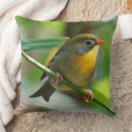 Cojín Decorativo Colorida Leiothrix Pekin Robin Songbird