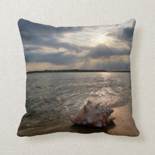 Cojín Decorativo Concha Shell en la playa el St Augustine, la
