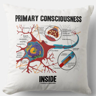 Cojín Decorativo Conciencia Primaria Interior (Neurona/Sinapsis)