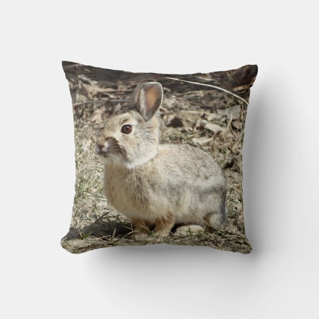 Cojín Decorativo Conejo cola de algodón R24 (Anverso)