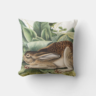 Cojín Decorativo Conejo de liebre de cola negra (Lepus negricaudatu