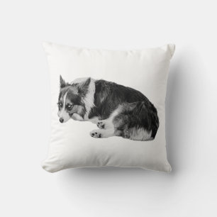 Cojín Decorativo Confort currido de Corgi