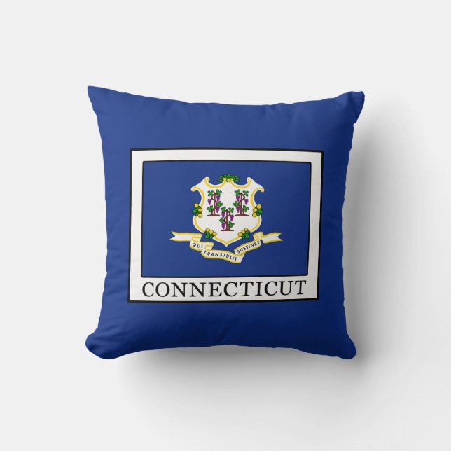 Cojín Decorativo Connecticut (Anverso)