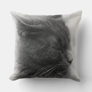 Cojín Decorativo Contemplar el magnífico gato imperioso gris