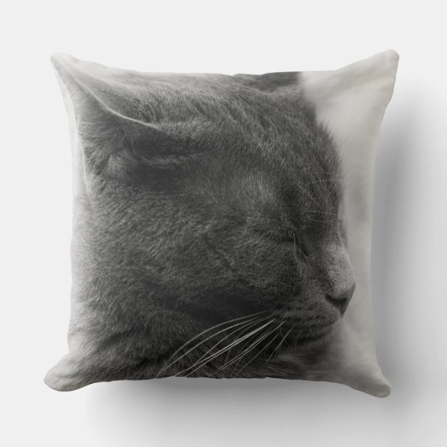 Cojín Decorativo Contemplar el magnífico gato imperioso gris (Anverso)