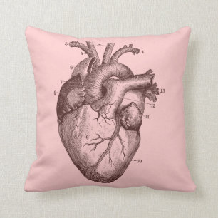 Cojín Decorativo Corazón humano - anatomía