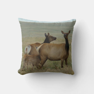 Cojín Decorativo Cordero y cordero E61