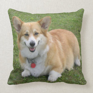 Cojín Decorativo CORGi