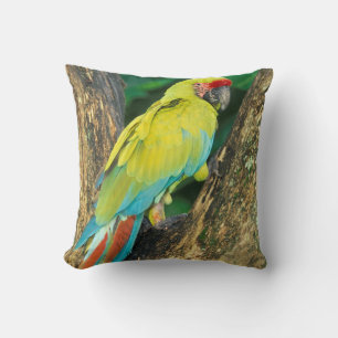 Cojín Decorativo Costa Rica, Ara Ambigua, Gran Lacaima Verde.
