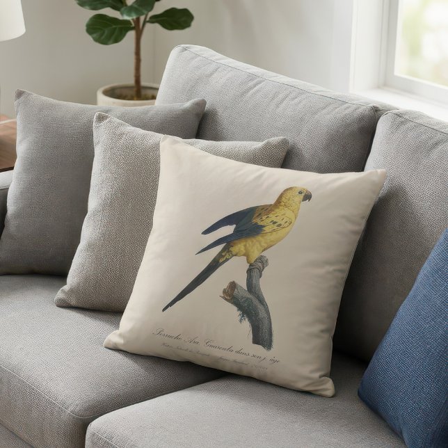 Cojín Decorativo Cotorra del Sol o Aratinga solstitialis (Guarouba dans sons jeune age / Sun parakeet. Throw Pillow)
