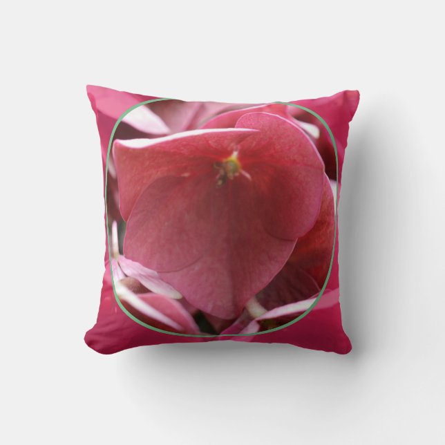 Cojín Decorativo coussins décoratifs (Anverso)