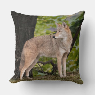 Cojín Decorativo Coyote Bonito