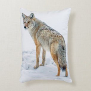 Cojín Decorativo Coyote en alarma en nieve