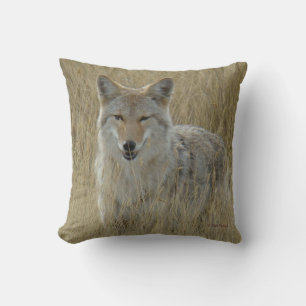 Cojín Decorativo Coyote R2 en hierba alta