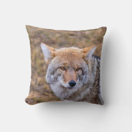 Cojín Decorativo Coyote Wild Dog Pillow