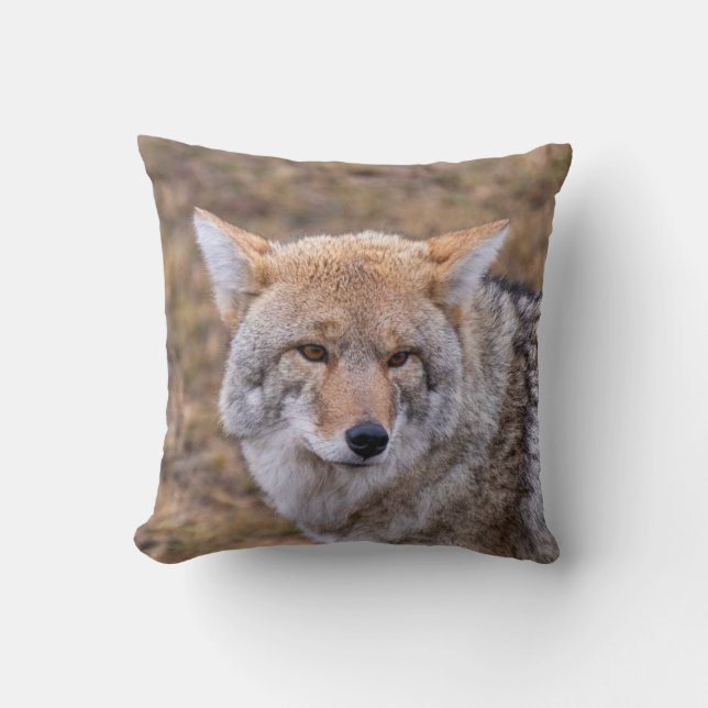 Cojín Decorativo Coyote Wild Dog Pillow (Anverso)