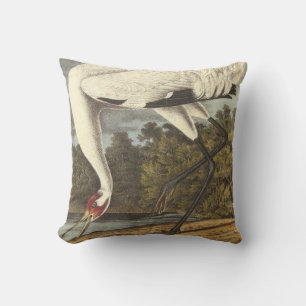 Cojín Decorativo Crana de Whooping de Audubon