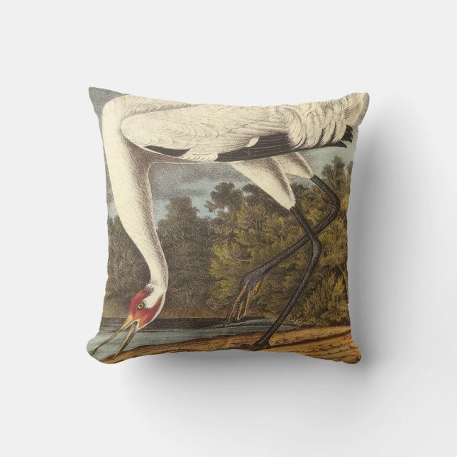 Cojín Decorativo Crana de Whooping de Audubon (Anverso)