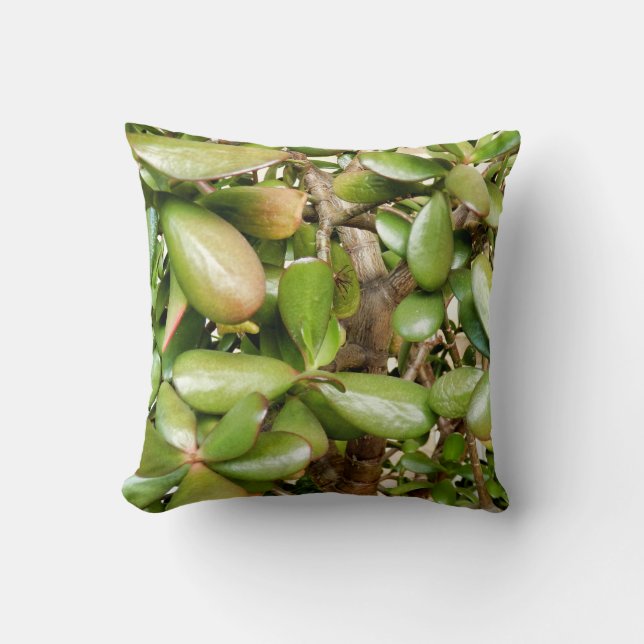 Cojín Decorativo Crassula ovata Throw Cushion (Anverso)
